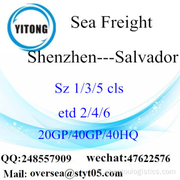 Shenzhen Haven Zee Vracht Verzending Naar Salvador